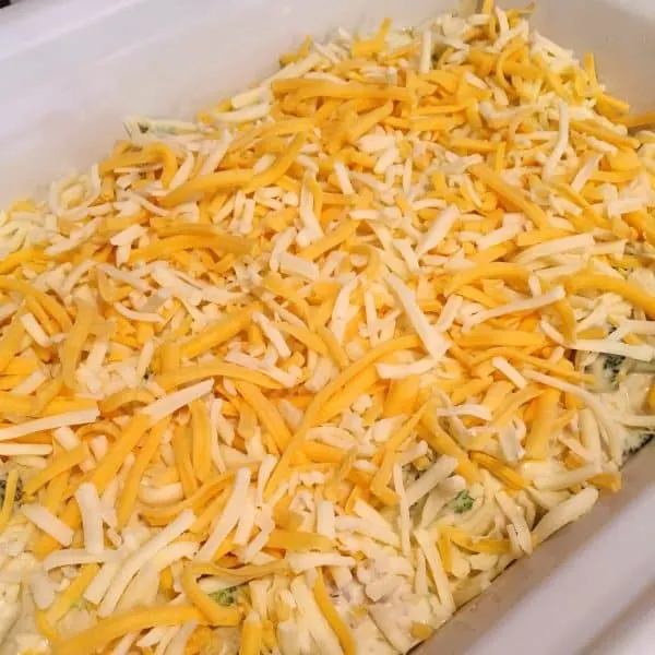 Casserole Mixture in a baking pan topped with grated cheese