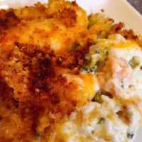 Creamy Rice and Chicken Broccoli Casserole topped with cheese and toasted buttery bread crumbs