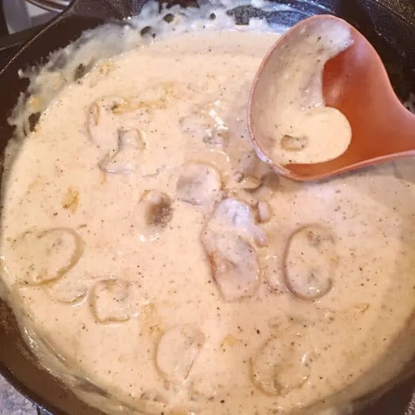 Pan with Creamy Mushroom Gravy