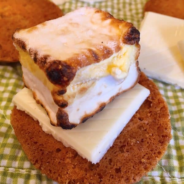 Place Toasted Marshmallow on top of cookie and chocolate