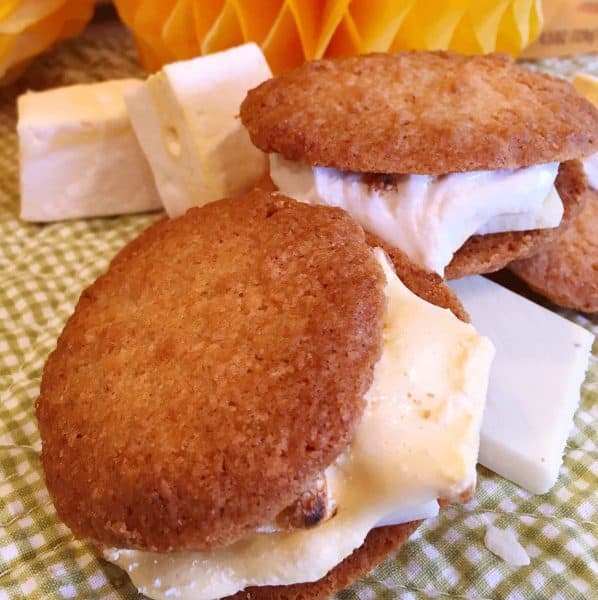Two Coconut Tropical Smores