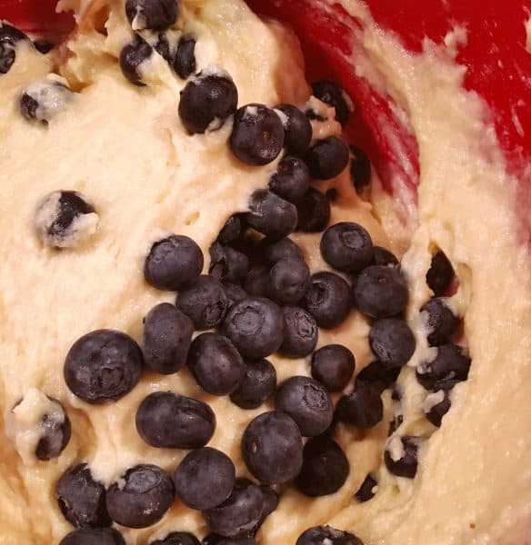 Adding blueberries to muffin mix