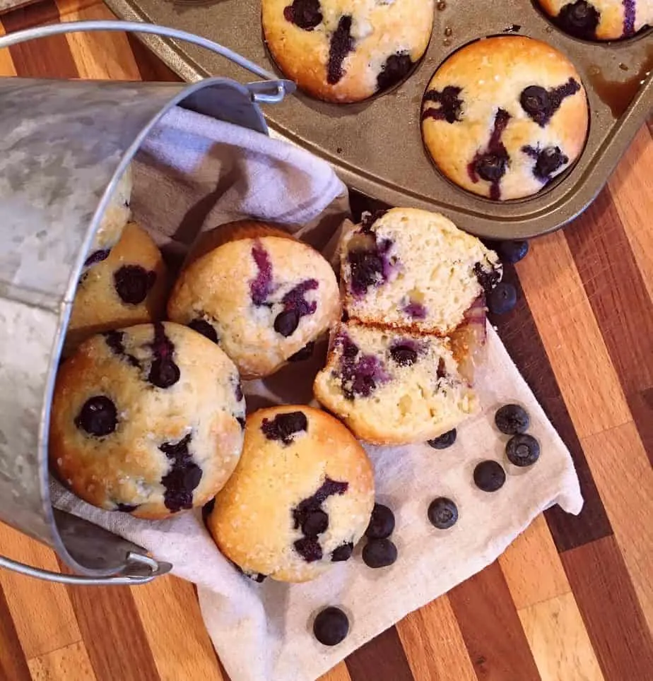 Breakfast Blueberry Muffins