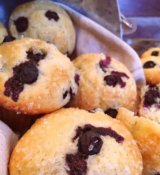 Breakfast Blueberry Muffins