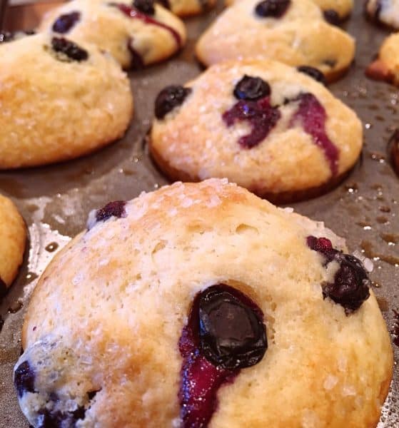 Breakfast blueberry muffins