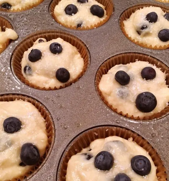 blueberry batter in muffin pans