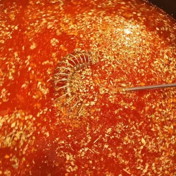 spices to enchilada sauce