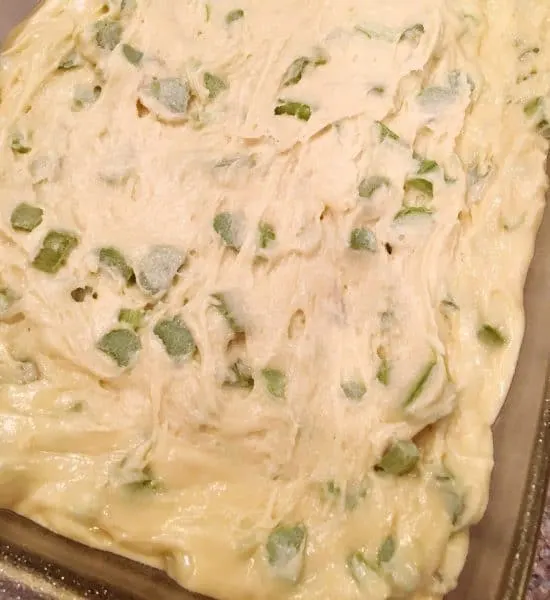 Batter poured into a greased cake pan