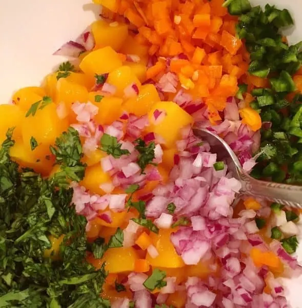 Ingredients for Mango Salsa