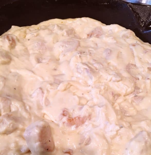 Mixture of sour cream, soup, and chicken in skillet