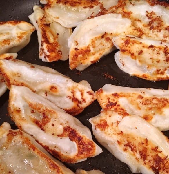 Browned Potsticker