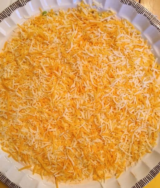 Grated Cheddar Cheese on top of the dip