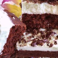 Stack of Layered Mint Chocolate Brownies