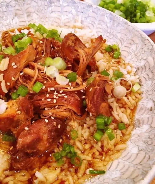 Slow Cooker Teriyaki Chicken 