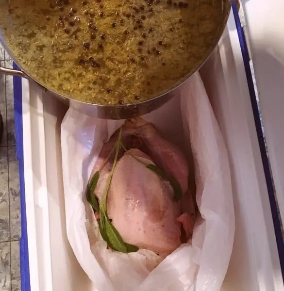 Adding brine to bagged Turkey