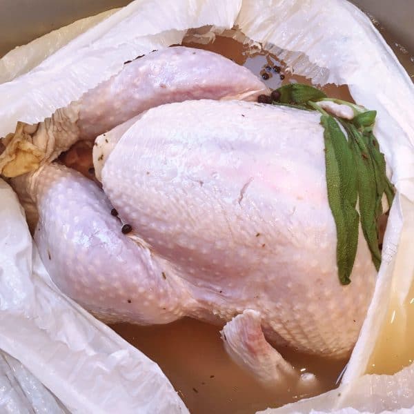 Removing Turkey from Brine Bag