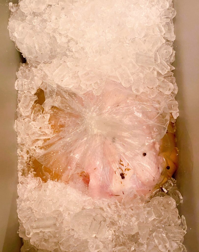 Turkey in brine bag with brine, tied in a knot, in an ice chest surrounded by ice.