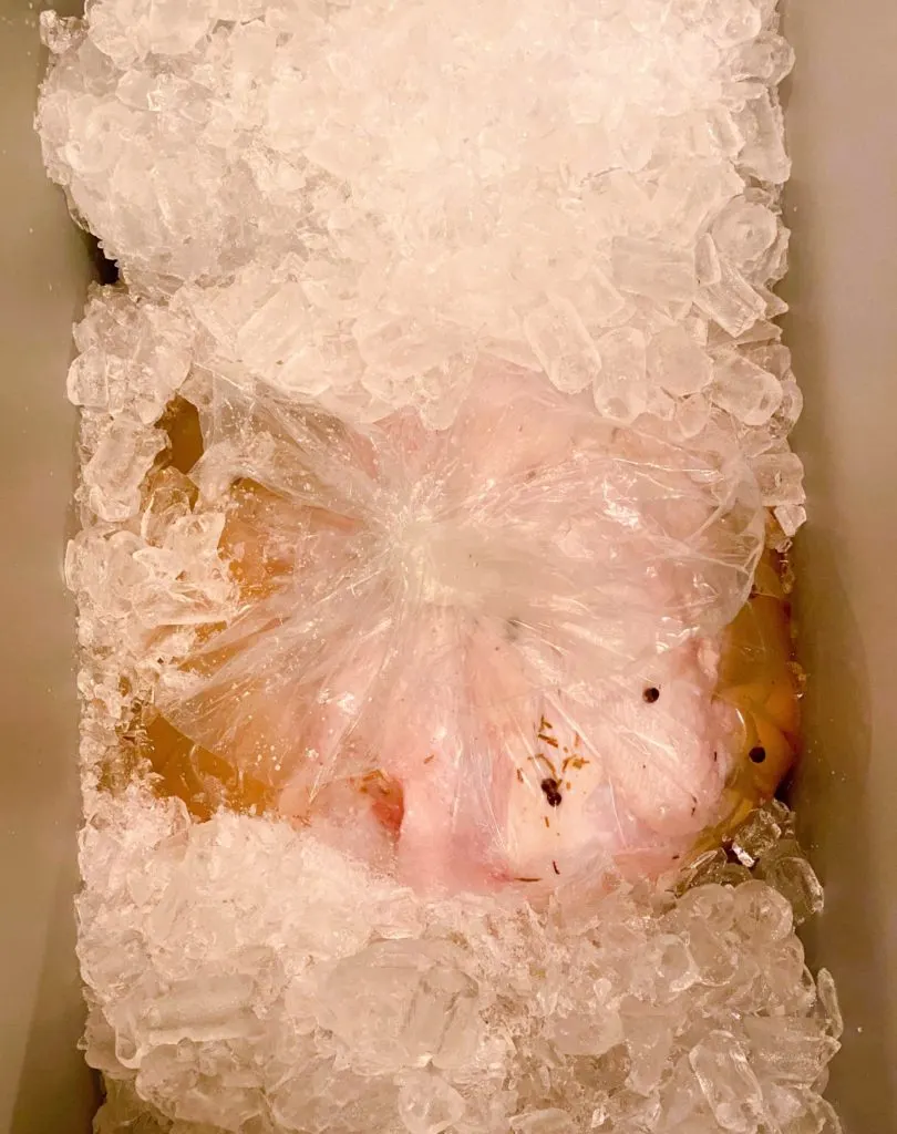 Turkey in brine bag with brine, tied in a knot, in an ice chest surrounded by ice.