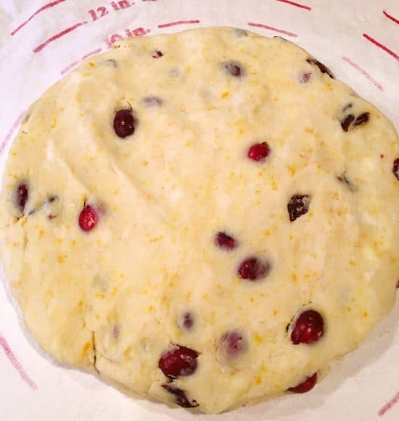 Cranberry Orange Scones in a disc