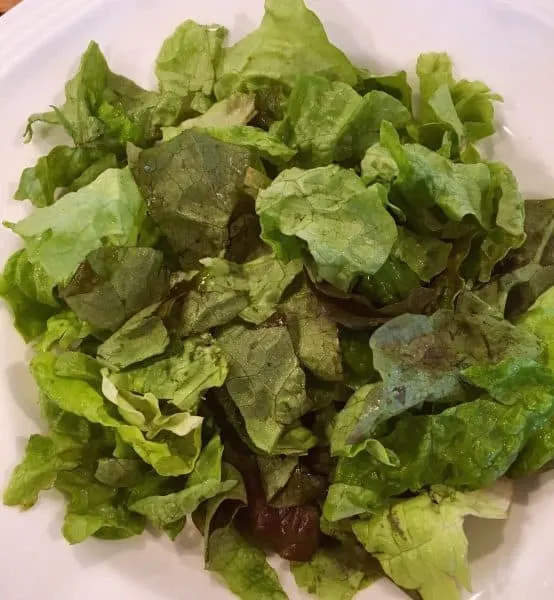Bowl of lettuce