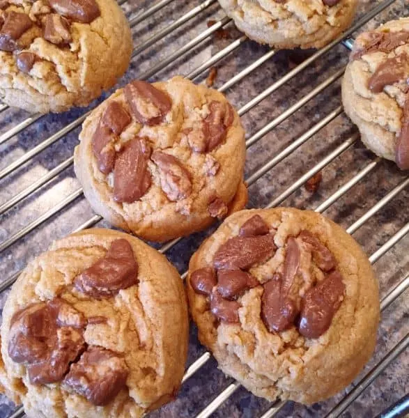 Cookies cooling on rack