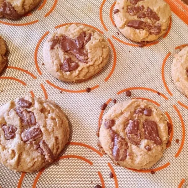 Cookies straight out of the oven on baking sheet.