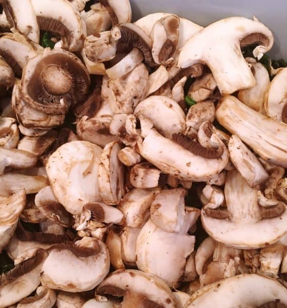 Fresh mushrooms