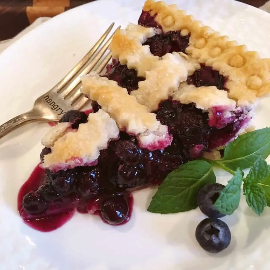 Slice of classic blueberry pie on a white plate.