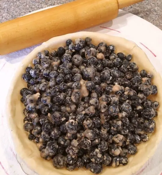 Blueberry filling in the pie