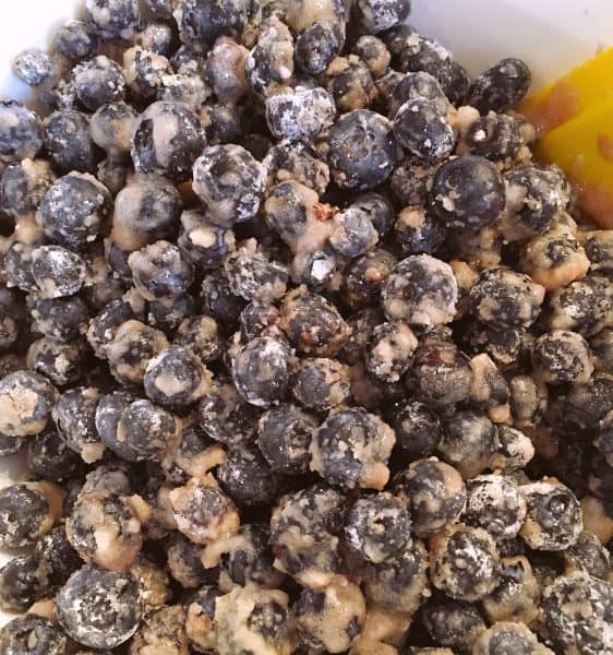 Fresh blueberries with filling ingredients