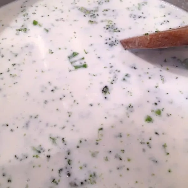 Added cream of broccoli soup