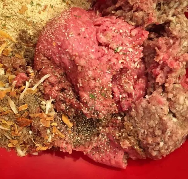 Hamburger with seasonings