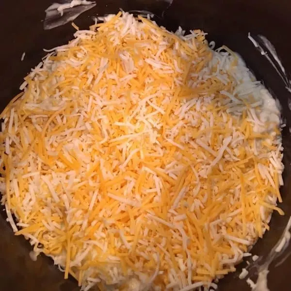 Add grated cheese on top of chicken mixture for Slow Cooker Layered Chicken Enchilada's.