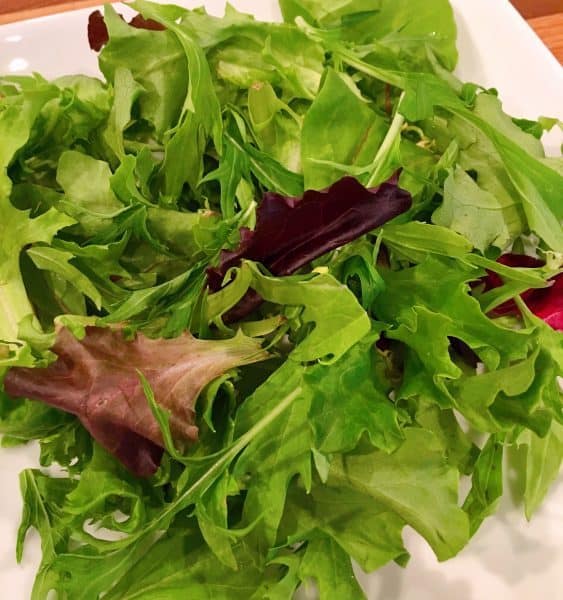 Plate full of spring mix greens for salad