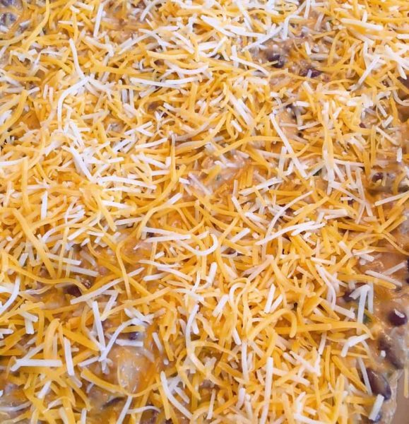 Grated Cheese sprinkled on top of the meat mixture. 