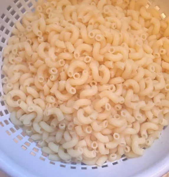 cooked elbow macaroni