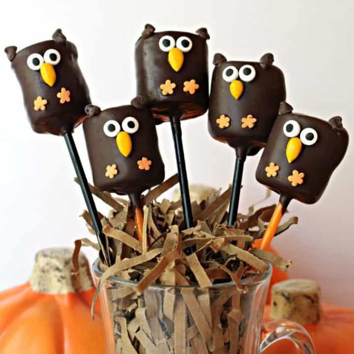 Image for Owl Marshmallow Pops