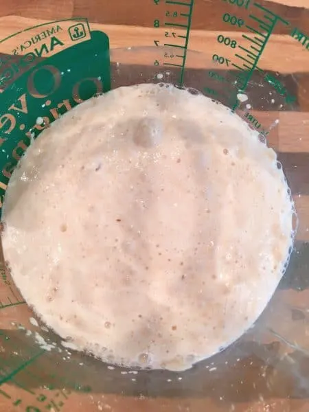Yeast, sugar, and warm water in bowl for bread