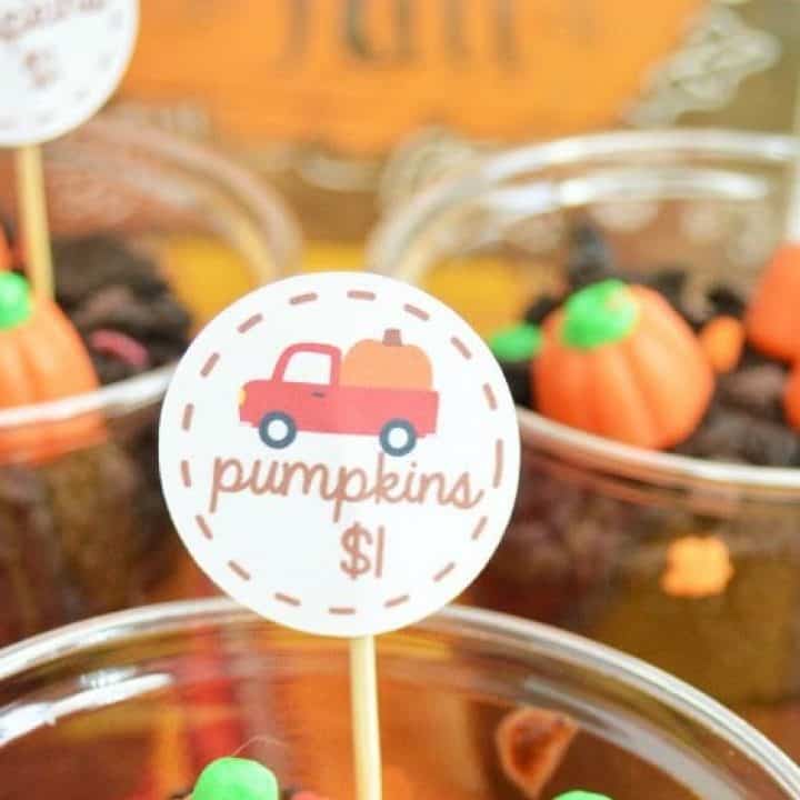Image for Pumpkin Patch Dirt Pudding Cups {with a cute free printable!}