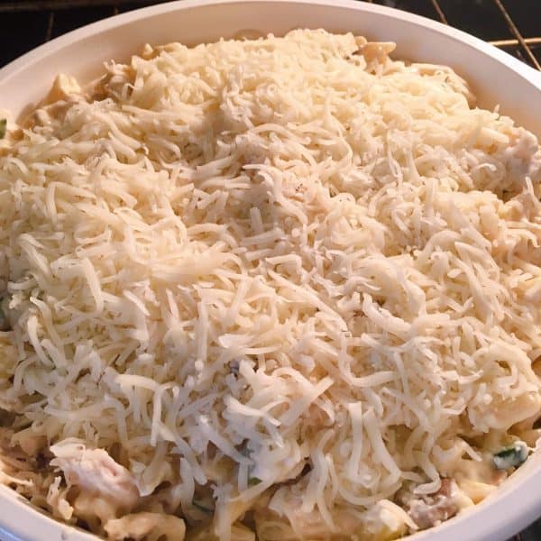 Chicken Zucchini Pasta Casserole topped with grated cheese 