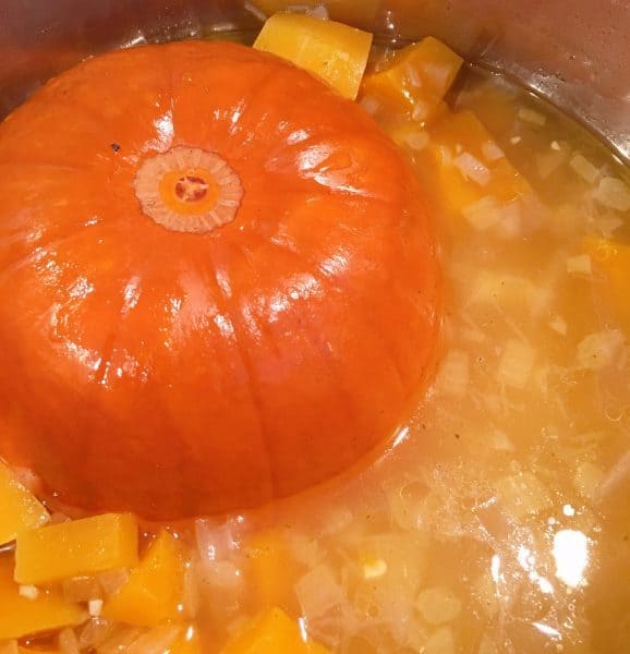 Cooked Pumpkin and squash in the Instant pot