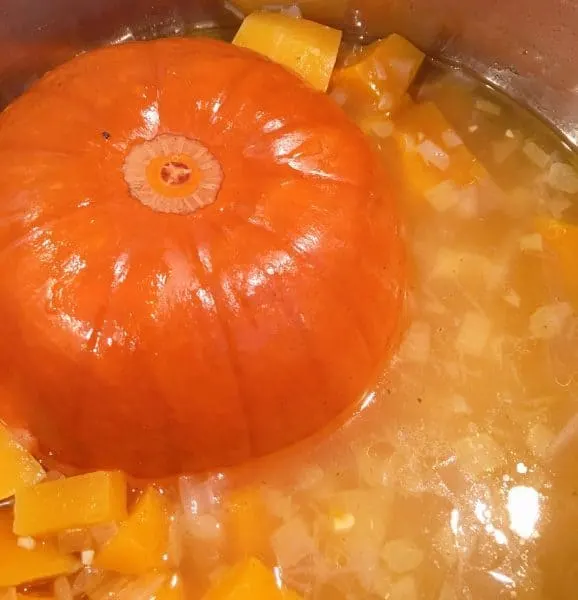 Cooked Pumpkin and squash in the Instant pot