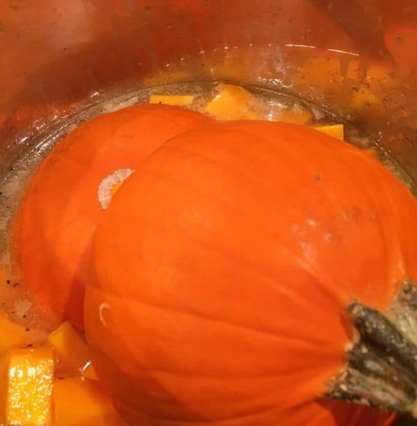 Adding pumpkin halves to soup ingredients in the Instant pot