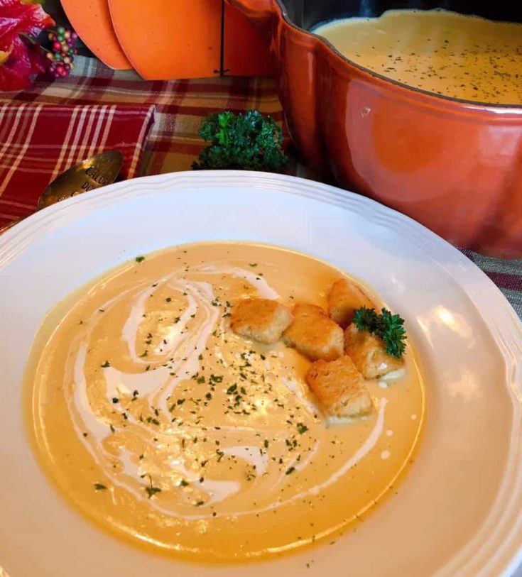 Using the KitchenAid 3 Speed Hand Blender to make Kabocha soup 