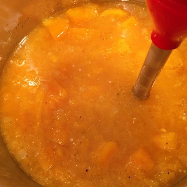 Adding squash back into soup stock in the instant pot