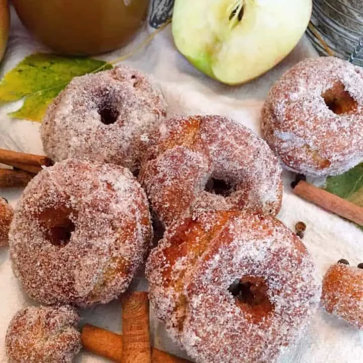 Group of Apple Cider Donuts with cinnamon sticks and apples