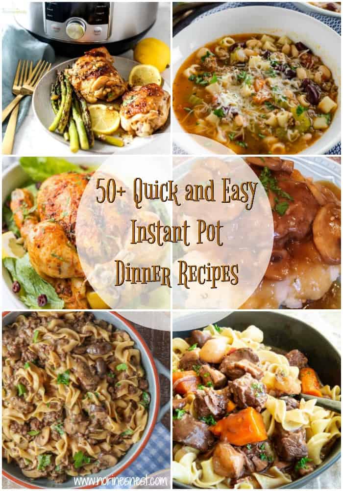 50+ Quick and Easy Instant Pot Dinner Recipes | Norine's Nest