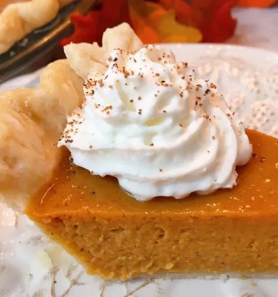 Slice of Pumpkin Pie with Whipped Cream