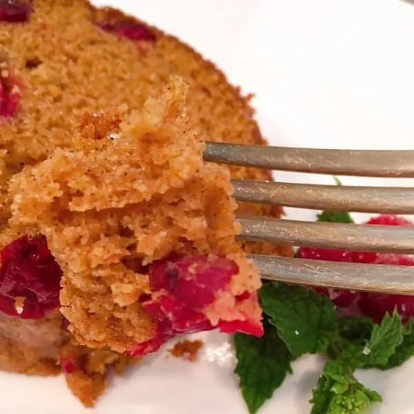 forkful of cranberry pumpkin cake