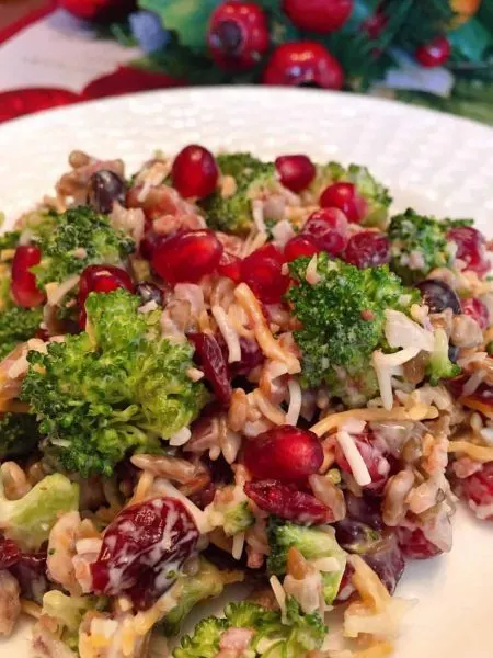 Broccoli Cranberry and Pomegranate Salad on a serving plate